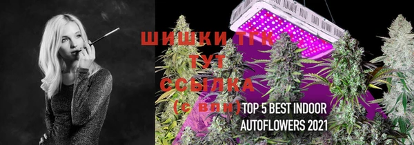 PSILOCYBIN Баксан
