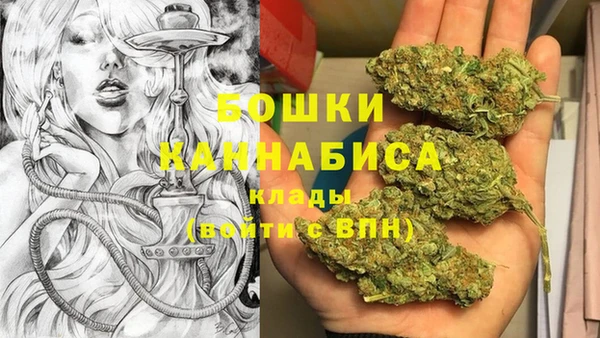 PSILOCYBIN Баксан
